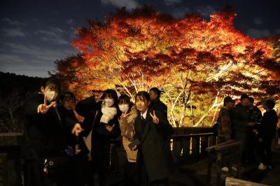 紅葉の美しい季節の京都で、特別な時間を過ごすことができました。